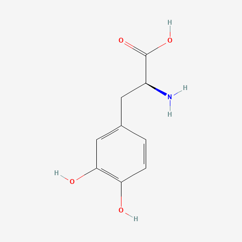 L-DOPA (Levodopa) (CAS 59-92-7) L-DOPA (Levodopa) — struktura chemiczna 2D (CAS 59-92-7, wzór C9H11NO4, masa 197.19 g/mol)
